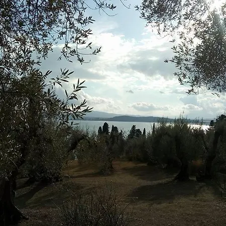 Terrace On The Dom wakacyjny