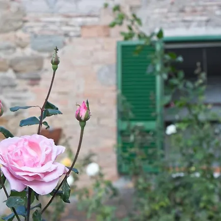 Terrace On The Dom wakacyjny